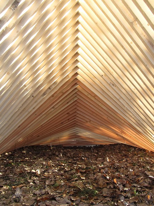 The roof